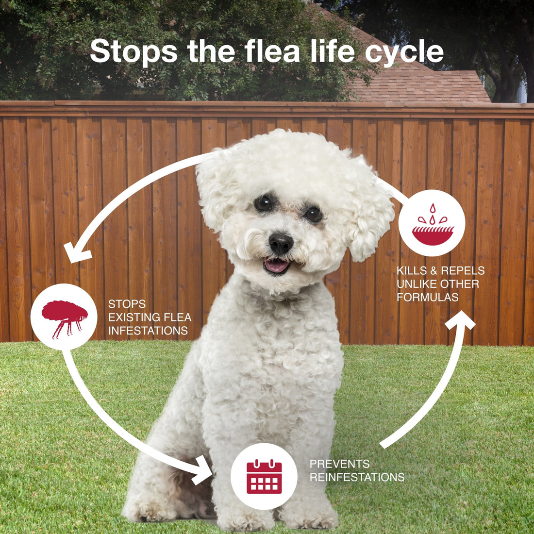 K9 Advantix II Monthly Flea & Tick Prevention for Small Dogs 4-10 Lbs, 6-Monthly Treatment