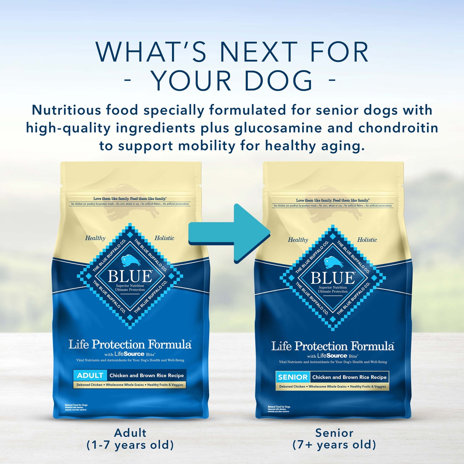 Blue Buffalo Life Protection Formula Natural Adult Dry Dog Food, Chicken and Brown Rice 24-Lb
