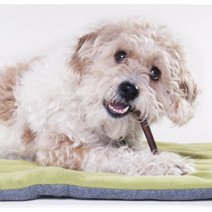 Downtown Pet Supply Bully Sticks for Dogs Free Range Dog Treats 1 Lbs