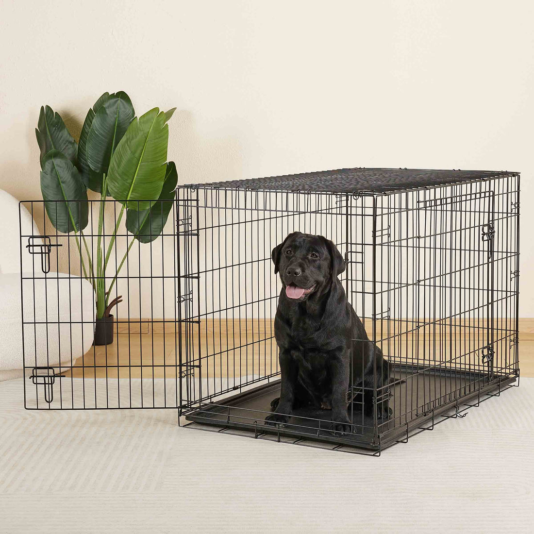 Vibrant Life Double Door Metal Wire 42" Dog Crate, Leak-Proof Pan and Divider for Dogs Upto 90 Lb
