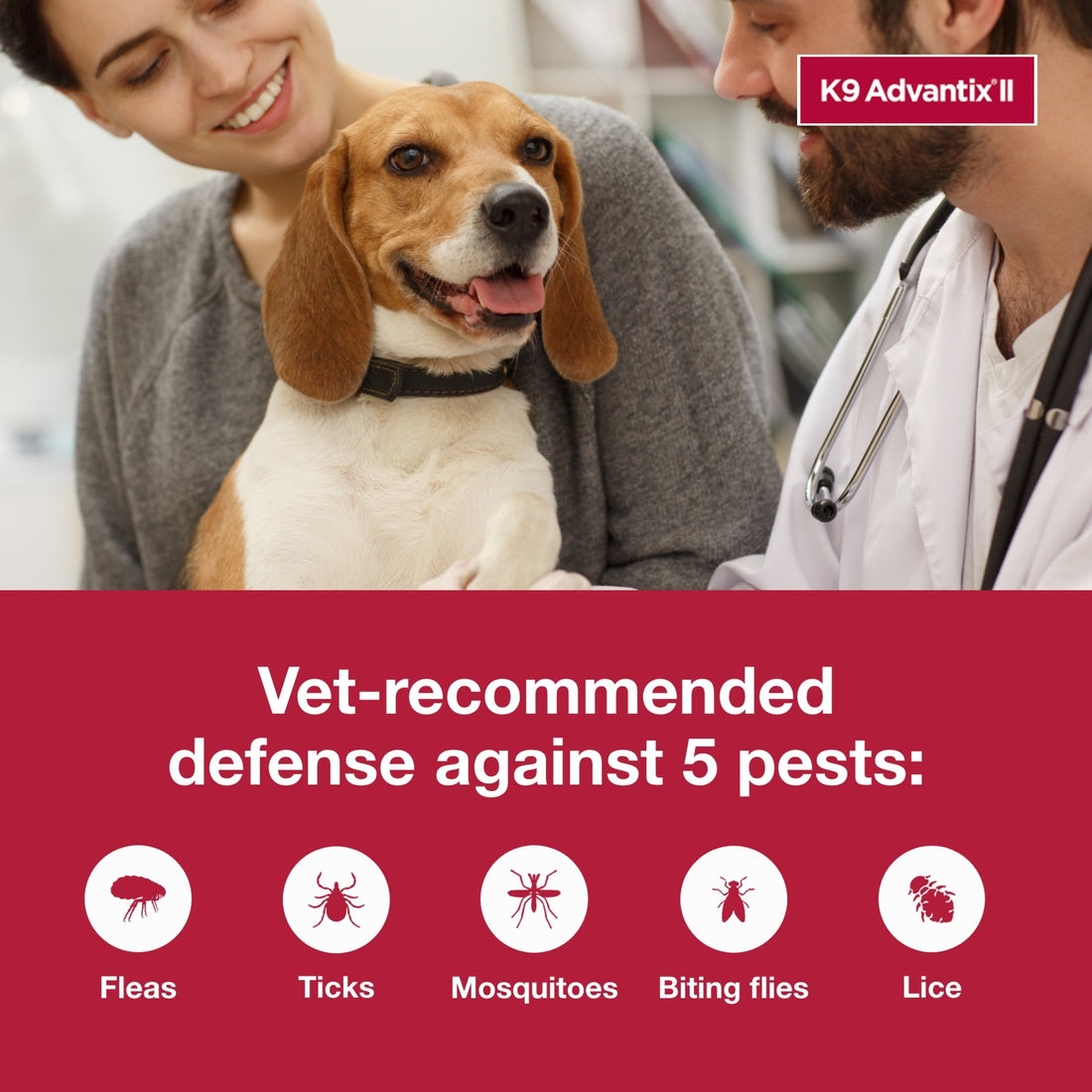 K9 Advantix II Monthly Flea & Tick Prevention for Small Dogs 4-10 Lbs, 6-Monthly Treatment