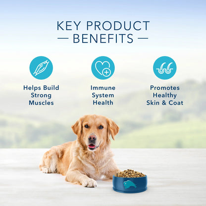 Blue Buffalo Life Protection Formula Natural Adult Dry Dog Food, Chicken and Brown Rice 24-Lb
