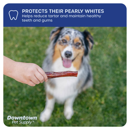 Downtown Pet Supply Bully Sticks for Dogs Free Range Dog Chews 30 Pack