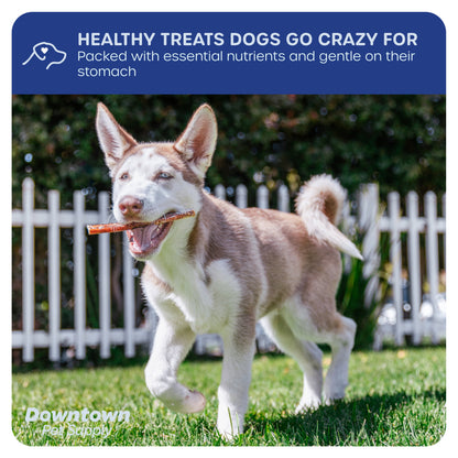 Downtown Pet Supply Bully Sticks for Dogs Free Range Dog Chews 30 Pack