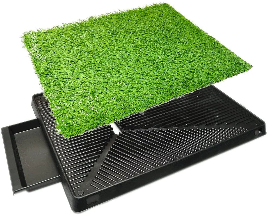 Downtown Pet Supply Grass Pad for Dogs, System W/ Drawer, 20 X 30" Dog Pads