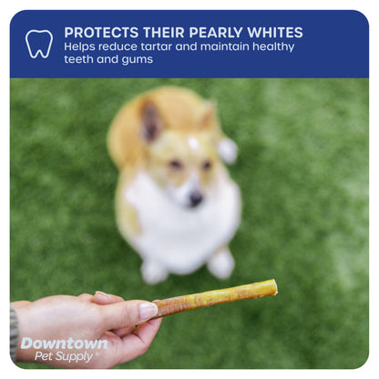 Downtown Pet Supply Bully Sticks for Small Dogs Rawhide Free Dog Chews 12&quot;, 3 Lb